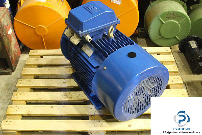 bevi-2d-200l-4-3-phase-electric-motor-1