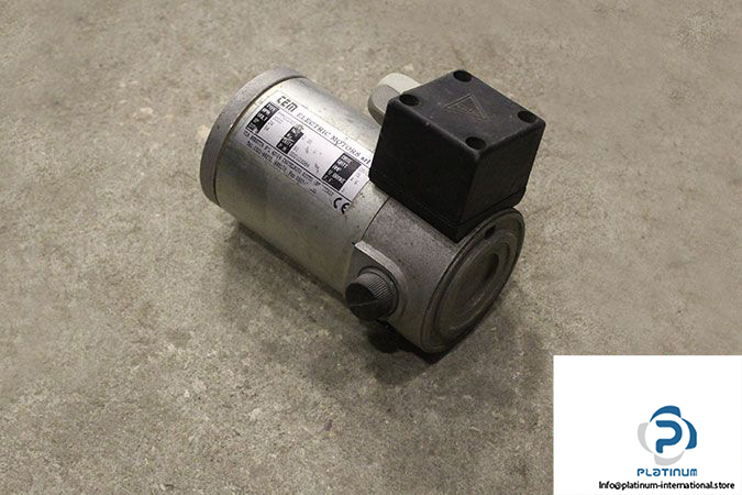 electric-motors-srl-pmm20240300m-dc-motor-1
