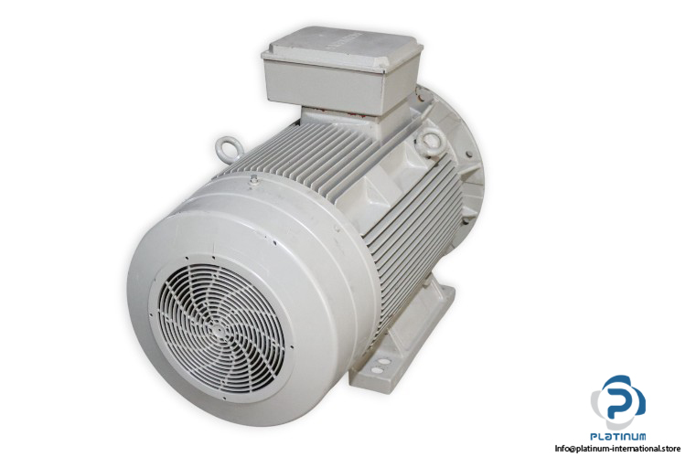siemens-1LG4-316-4AA96-Z-315L-electric-motor-new-1