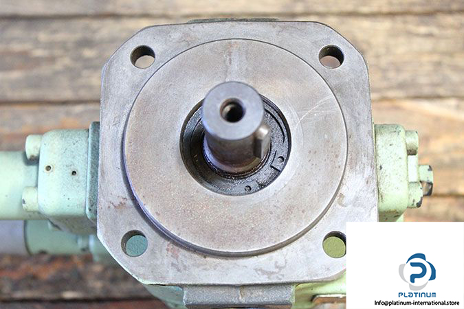 hydraulic-ring-pvs-25-h120b1-variable-vane-pump-2
