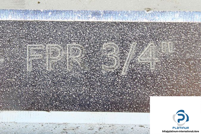 fpr-3_4-check-valve-3