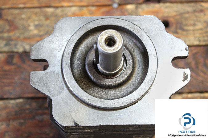 rexroth-r900932160-internal-gear-pump-2