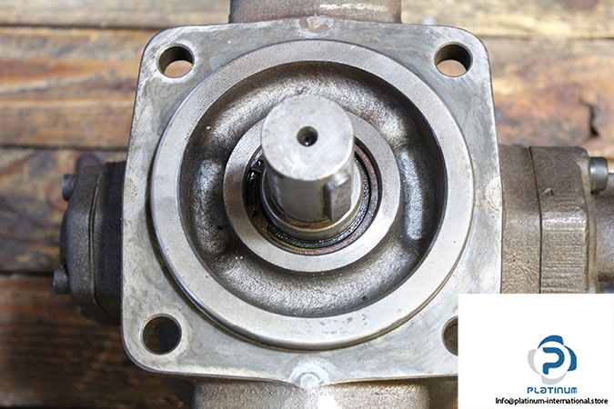 berarma-02-pvs2-40-f-r-m-variable-displacement-vane-pump-2