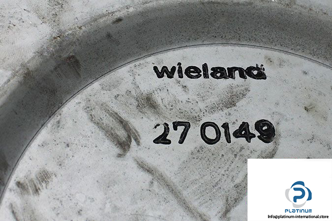 wieland-270149-replacement-filter-element-2