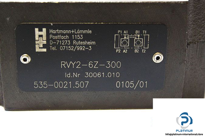 hartmannlammle-rvy2-6z-300-flow-control-valve-1