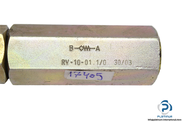 flutec-RV-10-01.1_0-check-valve-(used)-1