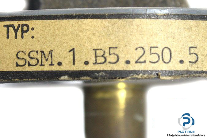 bielomatic-ssm-1-b5-250-5-flout-switch-2