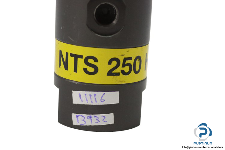 netter-vibration-NTS-250-HF-pneumatic-linear-vibrator-(New)-2