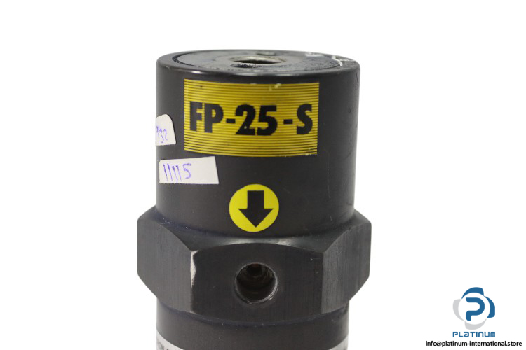 findeva-FP-25-S-piston-vibrator-(New)-2