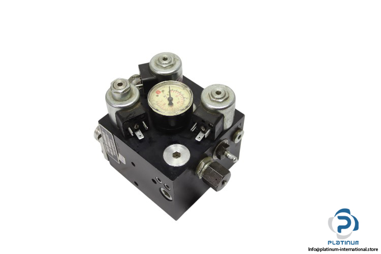 leistritz-10-01-46869-control-block(used)-1