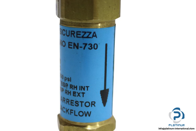 76000060-flashback-arrestor-new-3