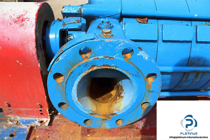 duchting-pumpen-lhk-125x8-high-pressure-centrifugal-pump-8