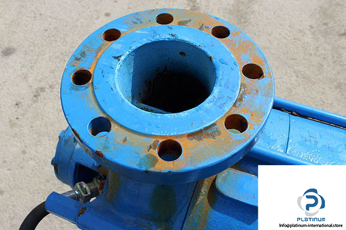 duchting-pumpen-lhk-125x8-high-pressure-centrifugal-pump-9