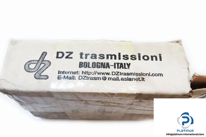 dz-transmissioni-mod-zp-size-3-inverter-angular-transmission6_675x450