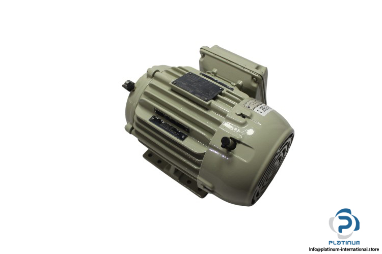 weg-W22-143_5T-three-phase-induction-motor-(new)-1