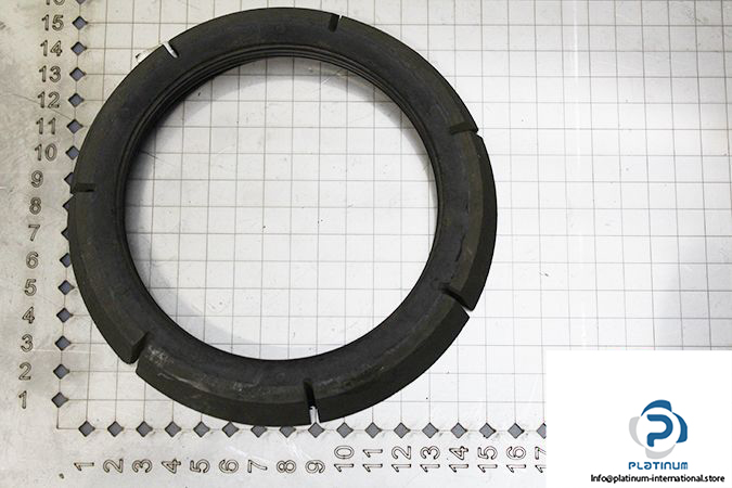 demag-06478684-_-riw-brake-ring-1