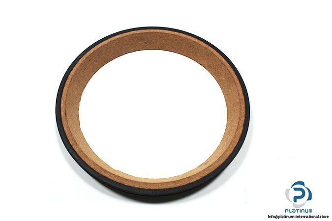 demag-riw-613-654-brake-ring-1