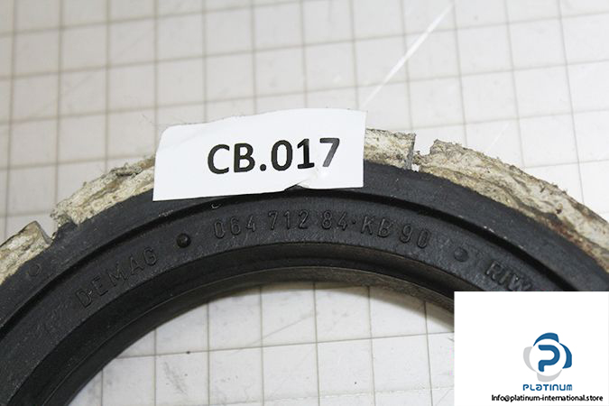 demag-06471284-_-riw-brake-ring-2