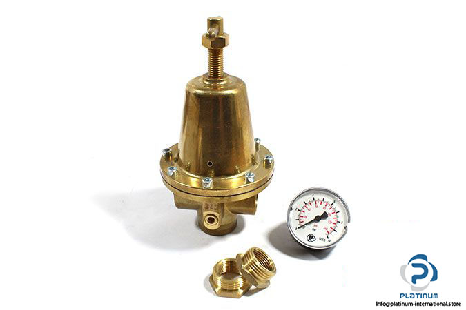 riegler-737-603-pressure-regulator-1-2