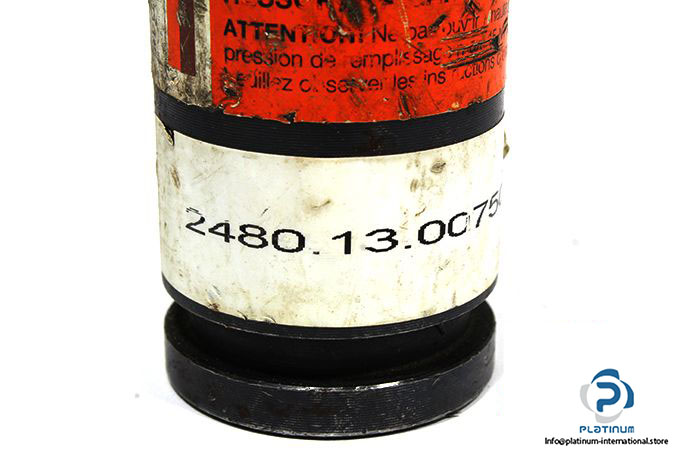 17019-fibro-2480-13-00750-063-gas-spring-2