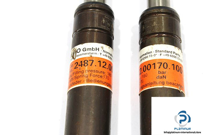 25224-fibro-2487-12-00170-100-gas-spring-2