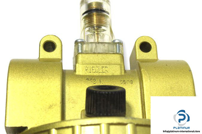 riegler-762-k-lubricator-4