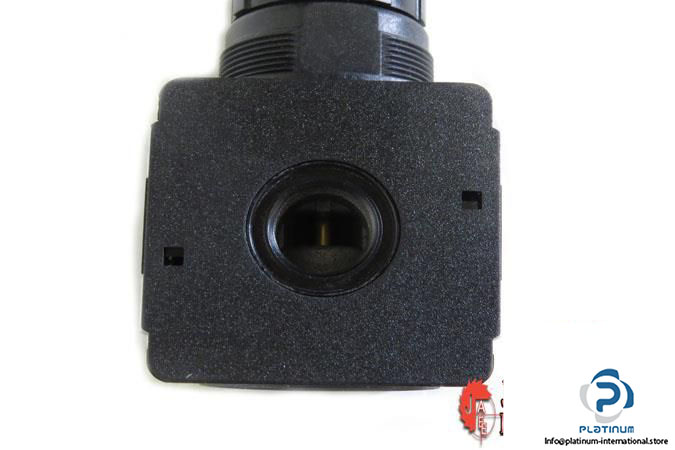 riegler-r-12-6-pressure-regulator5_675x450