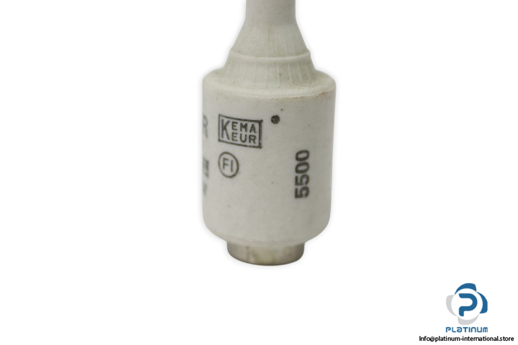 LINDNER-597.010-10A-500VAC-FUSE-LINK(new)-2