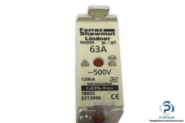 ferraz-shawmut-NH000-GL_GG-63a-fuse-link-(New)-1