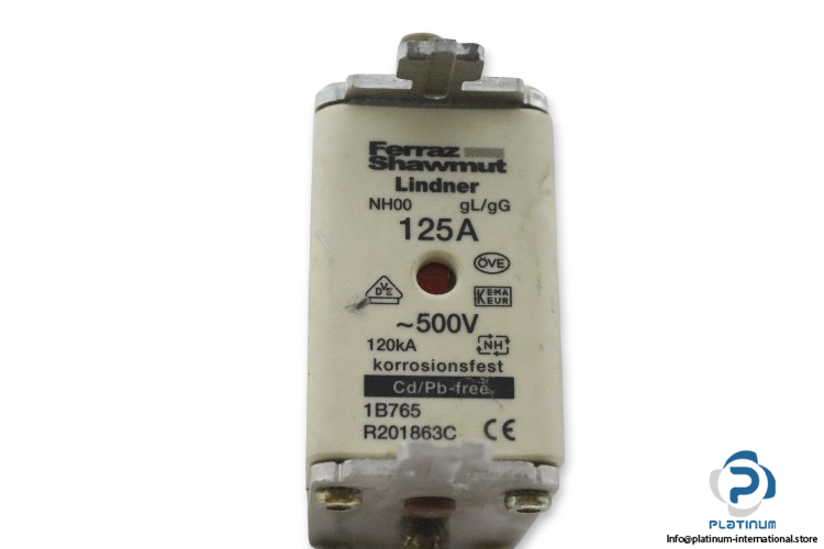 ferraz-shawmut-NH00-GL_GG-125a-fuse-link-(New)-1
