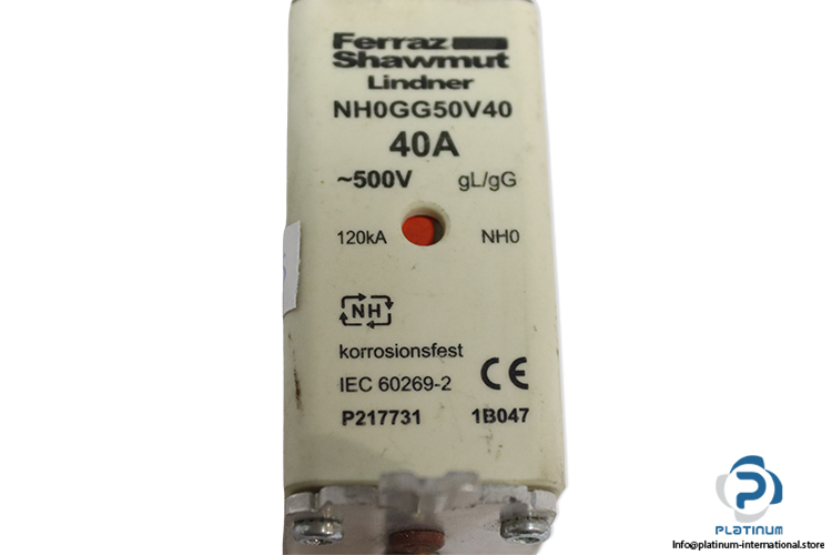Ferraz-Shawmut-NH0GG50V40-P217731-40a-500v-fuse-link(new)-1