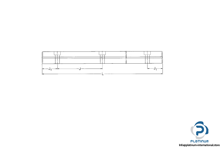 skf-LWRPV-3100-rail-guide-(new)-(carton)-2