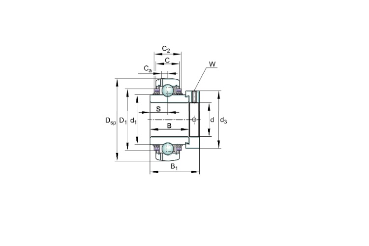 ina-GE55-KTT-B-insert-ball-bearing-(new)-3