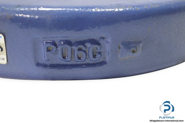 skf_cooper-P06-pillow-block-housing-unit-(new)-1