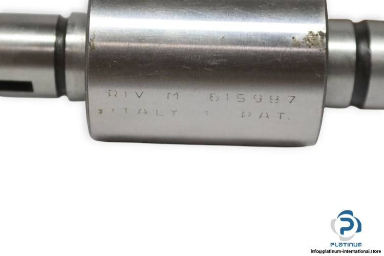 riv-562-00-15987-rolling-bearing-(new)-(carton)-1