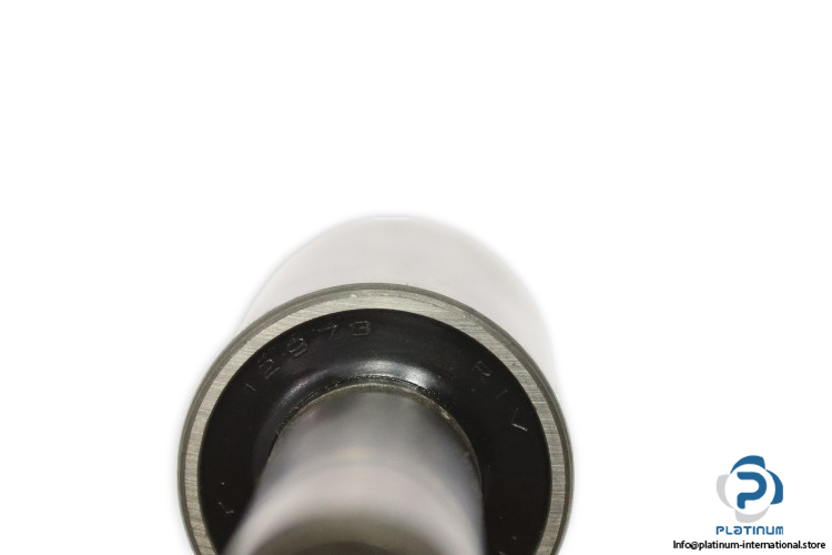 riv-12973-rolling-bearing-(new)-(carton)-1