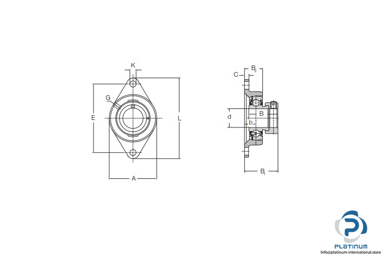 hfb-OWI40-oval-flange-ball-bearing-unit-(new)-2