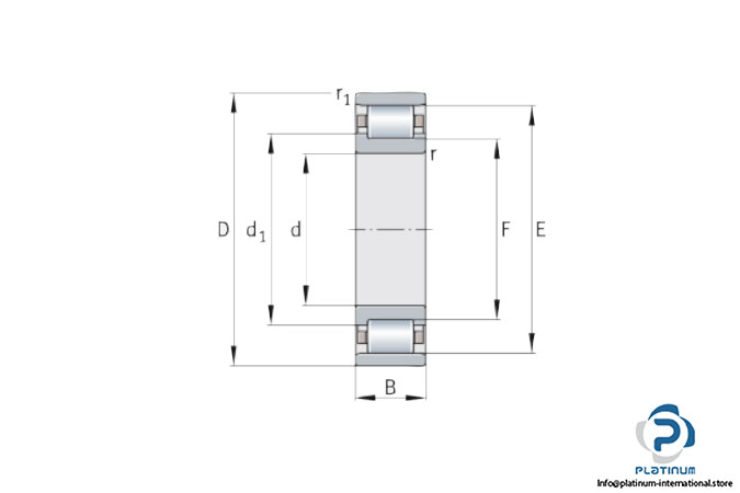 fag-n310e-tvp2-cylindrical-roller-bearing-2
