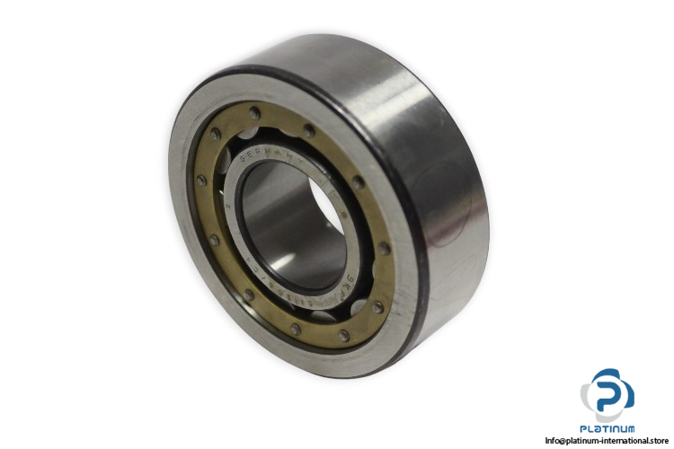 skf-611596_C4-cylindrical-roller-bearing-new-carton-1