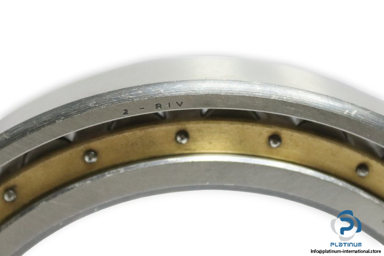 riv-6558-radial-cylindrical-roller-bearing-new-3