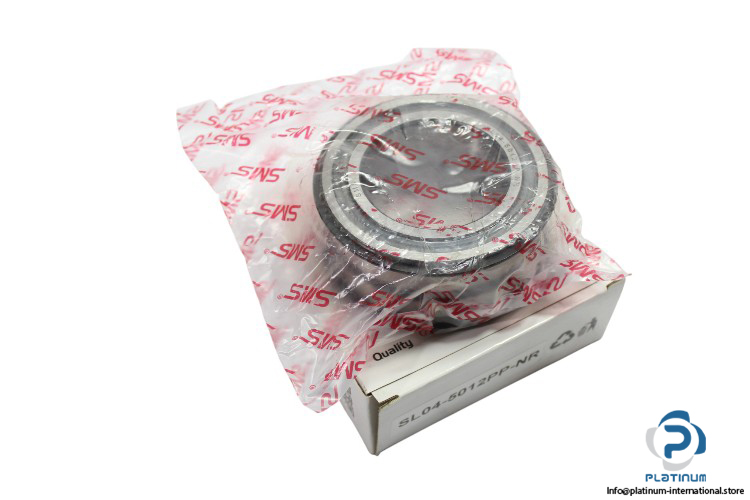 SL04-5012PP-NR-double-row-cylindrical-roller-bearing-new-carton-1