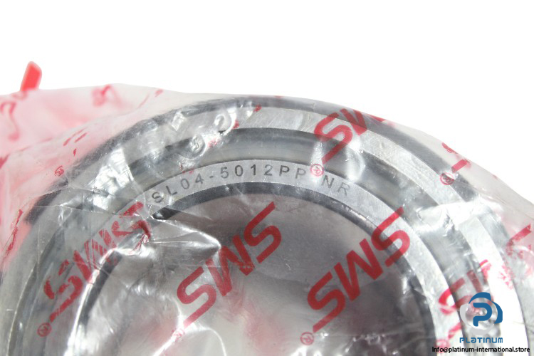 SL04-5012PP-NR-double-row-cylindrical-roller-bearing-new-carton-2