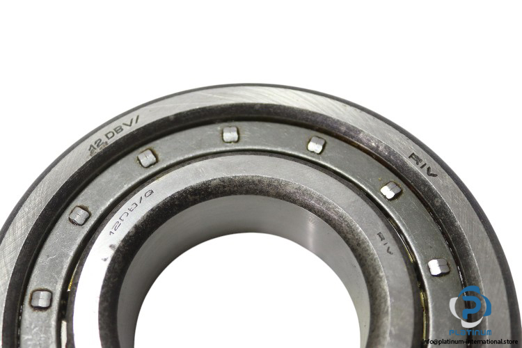 riv-12DBV-12DB_Q-cylindrical-roller-bearing-new-carton-1