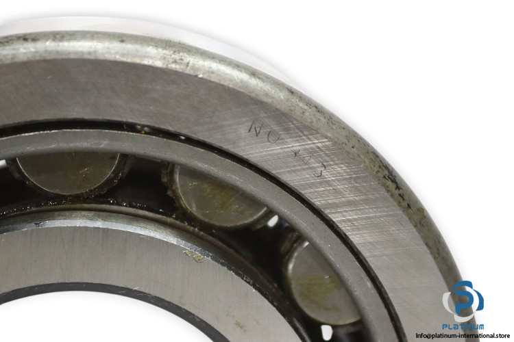 wfr-NUP-313-cylindrical-roller-bearing-new-1