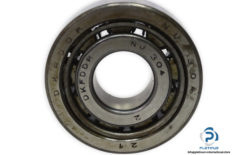 dkfddr-NJ-304-cylindrical-roller-bearing-new-1