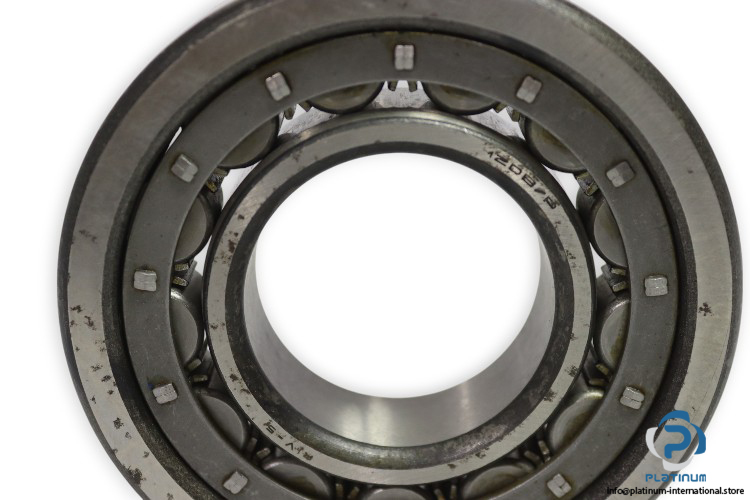 riv-12DB_P-cylindrical-roller-bearing-used-3