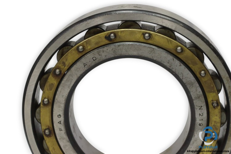fag-N-219-cylindrical-roller-bearing-used-1
