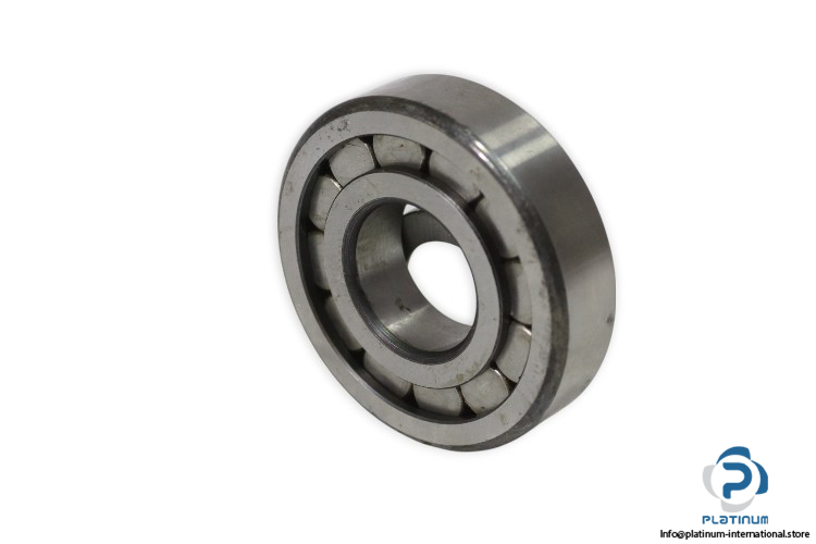 ina-F-53597-cylindrical-roller-bearing-new-1