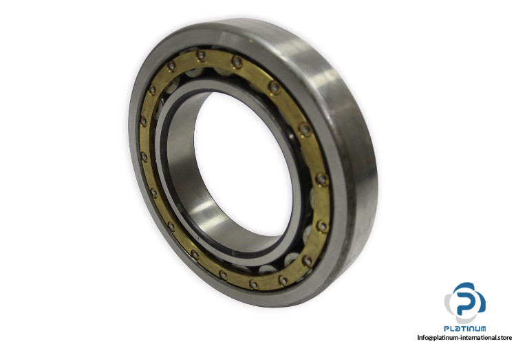 dkfddr-NJ-226-EZS-cylindrical-roller-bearing-(new)-1