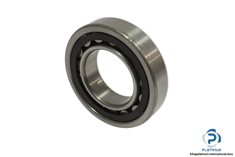 nsk-NU-209-E-cylindrical-roller-bearing-(new)-1